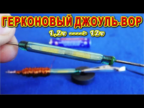 Видео: ❤ ФЕНОМЕНАЛЬНЫЙ ДЖОУЛЬ ВОР из ОБЫЧНОГО ГЕРКОНА 👍Удивительная Простая Самоделка