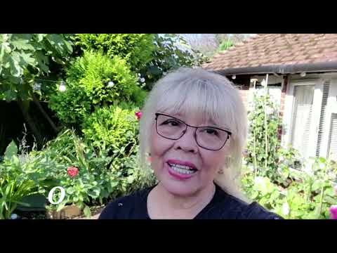 Видео: 567. В ГОСТЯХ У МАМЫ ИЛИ ЧТО ТВОРИТСЯ В ЕЕ САДУ!