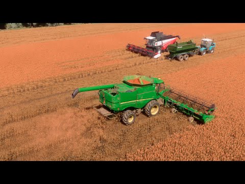 Видео: Farming Simulator 22 / Карта Кошмак #15 / Timelapse Уборка сорго
