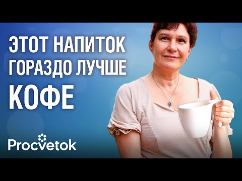 Видео: ЧТО ТВОРИТ ЦИКОРИЙ, если пить его каждый день! Рецепт целебного напитка на замену кофе