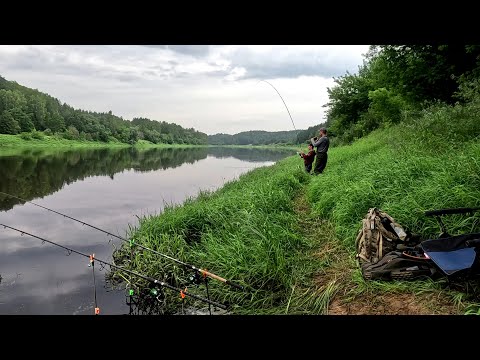 Видео: Рыбалка на фидер.Daugava (река Западная Двина) .