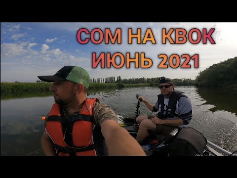 Видео: Сом на квок!!!! Июнь 2021