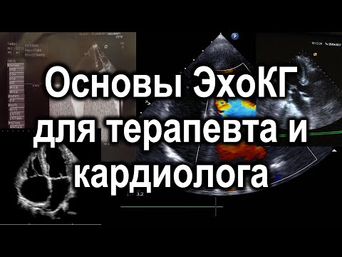 Видео: Основы ЭхоКГ для терапевта и кардиолога