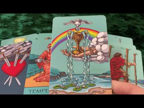 Видео: Его истинные чувства к Вам в данную минуту?