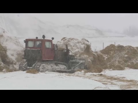 Видео: Ақтөбе облысында ауыл шаруашылығы саласының мамандары тапшы