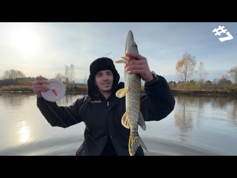 Видео: ЛОВЛЯ ЩУКИ ОСЕНЬЮ 🍂 РЕКА СЛУЧЬ. 