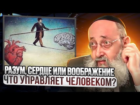 Видео: Разум, сердце или воображение. Что управляет человеком? Рав Ашер Кушнир