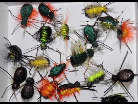 Видео: ЖУК  NOV SVA