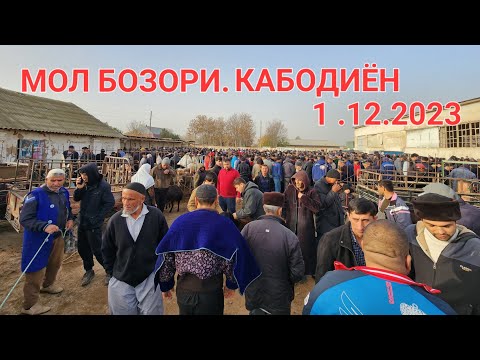 Видео: МОЛ БОЗОРИ КАБОДИЁН БУКАЧАХО КИММАТ