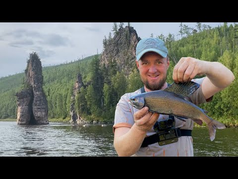 Видео: Хариус на маховое удилище. Рыбалка на сплаве