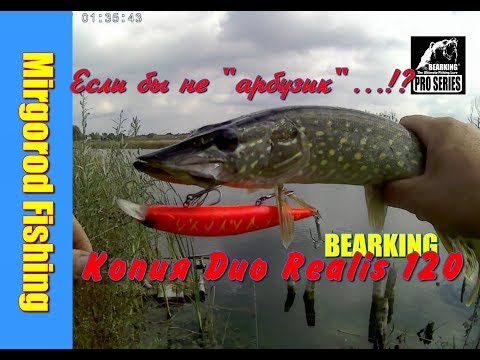 Видео: Рыбалка.Копия DUO Realis 120SP Bearking помог уйти от нуля!!!