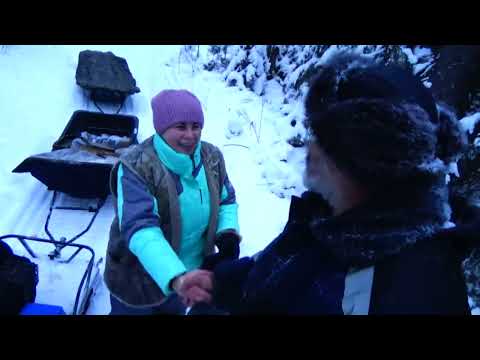 Видео: Обыкновенный день отдыха пенсионеров в декабре #3