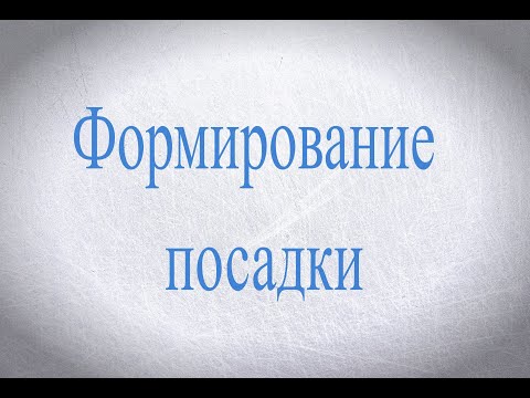 Видео: Посадка хоккеиста