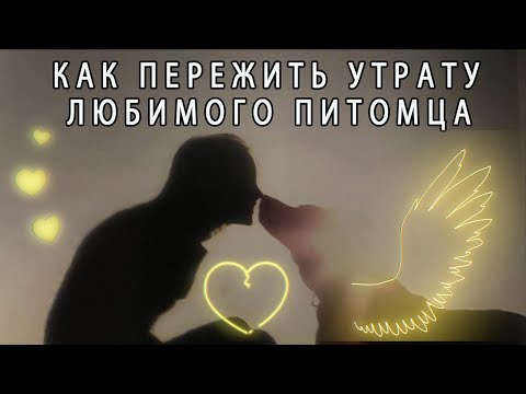 Видео: КАК ПЕРЕЖИТЬ УТРАТУ ЛЮБИМОГО ПИТОМЦА