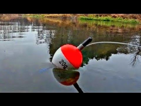 Видео: ЩУКИ НА ПОПЛАВОК!РЫБАЛКА НА ЖИВЦА.ЗИМНЯЯ РЫБАЛКА В ЛАТГАЛИИ.