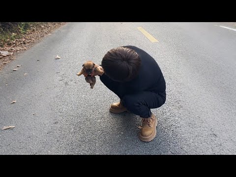 Видео: Малыш, хочешь пойти со мной домой? Я отвезу тебя жить в город