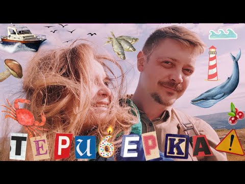 Видео: Адвэнчатайм: Мурманск и Териберка