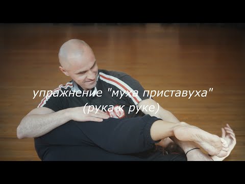Видео: УроКИ (контактной импровизации) часть 4, упражнение "муха приставуха" (рука к руке)