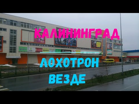 Видео: КАЛИНИНГРАД.  ЛОХОТРОН  ВЕЗДЕ