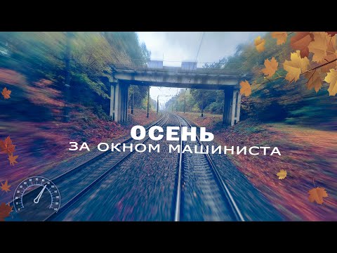 Видео: Вид из кабины машиниста. Краски осени 4К.