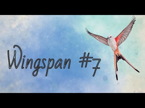 Видео: Wingspan (Крылья) - соло режим