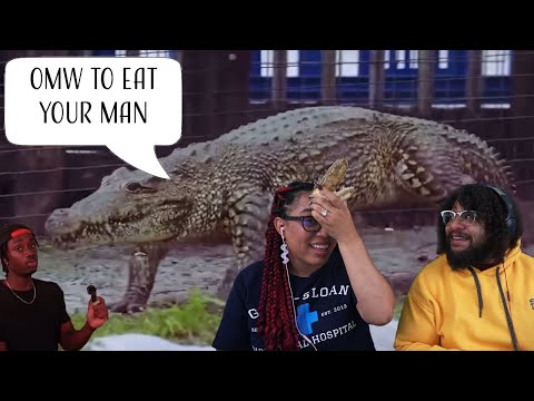 Видео: Самый сильный хищник в мире! | Casual Geographic Reaction