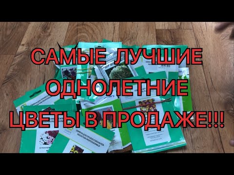 Видео: Какие ОДНОЛЕТНИЕ ЦВЕТЫ будем сеять на СЕЗОН 2023? ТОП-10 ЛУЧШИЕ в продаже!