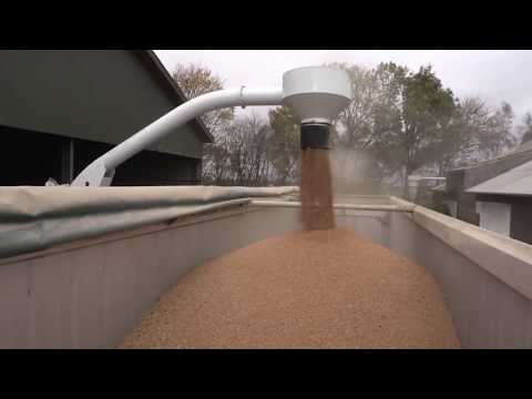 Видео: Пневмопогрузчик Конгскилде