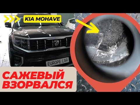 Видео: Kia Mohave взорвался сажевый фильтр❗ Ремонт или отключение мочевины❓