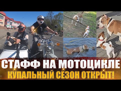 Видео: Стафф на мотоцикле,купальный сезон открыт!