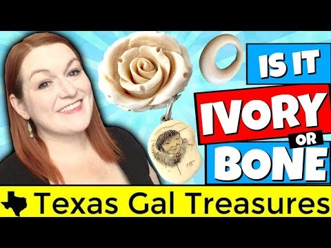 Видео: Это кость или слоновая кость? Как отличить слоновую кость от кости?