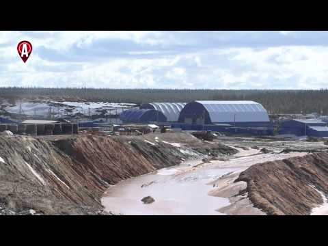 Видео: [ДЕЛО ЖИЗНИ] ГЕОЛОГ