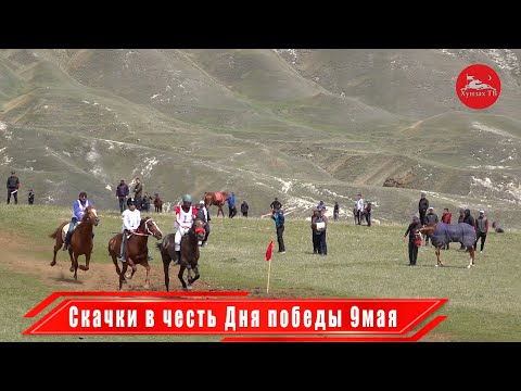 Видео: Скачки в честь Дня победы 9мая