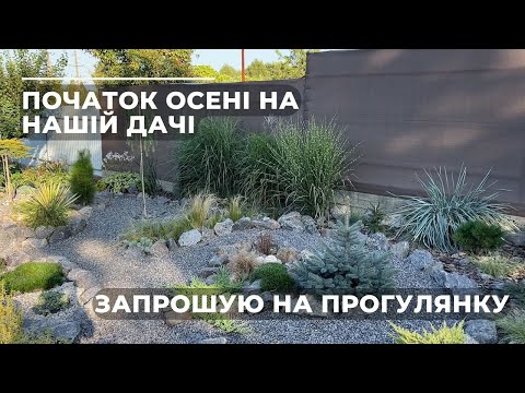Видео: Початок осені на нашій дачі. Запрошую на прогулянку