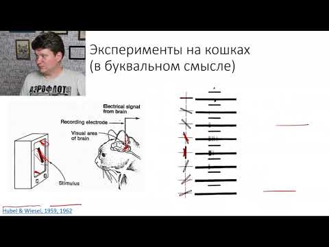 Видео: Deep Learning на пальцах 6 - Convolutional Neural Networks