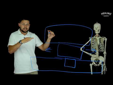 Видео: Бесплатный урок 1: Введение