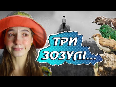 Видео: ТЮТЮННИК. КУ-КУ-КУ. 💔 Три зозулі з поклоном.