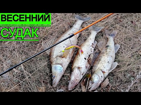 Видео: ОПА, полторашка, а может и ДВУШКА! Открылся. Ловля судака с берега