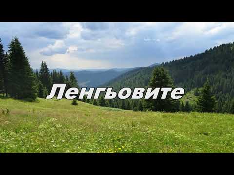 Видео: Ленгьовите