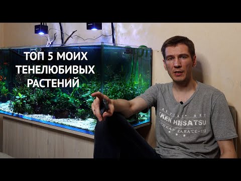 Видео: Топ 5 медленнорастущих растений