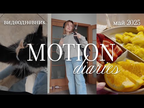Видео: дневник моушена: тихие будни, шляпники, кофе