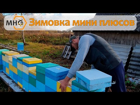 Видео: Показываем как наши нуклесы (мини плюсы) готовы к зимовке