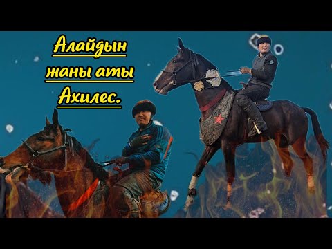 Видео: Сейдалы чапкан Алай Ала Букага сатылды 💥💥💥