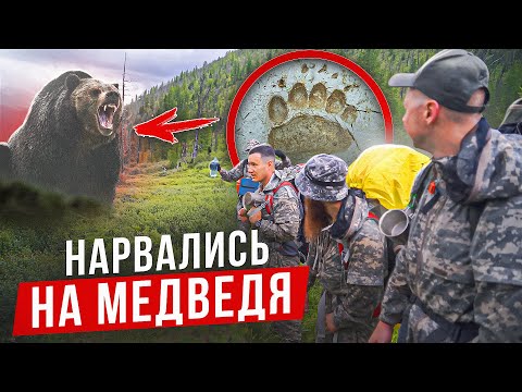 Видео: ИДЁМ ПО СЛЕДУ МЕДВЕДЯ, ГИД РИСКНУЛ ЖИЗНЯМИ ТУРИСТОВ, ПОХОД НА ГРАНИ