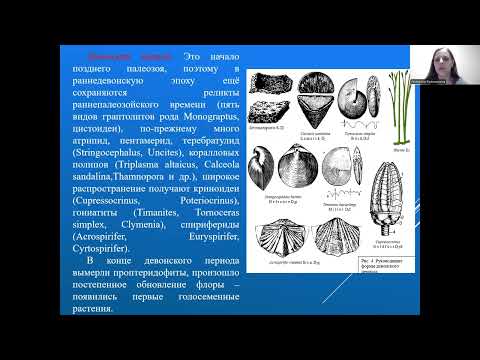 Видео: Видеоурок 8 Общая и историческая геология