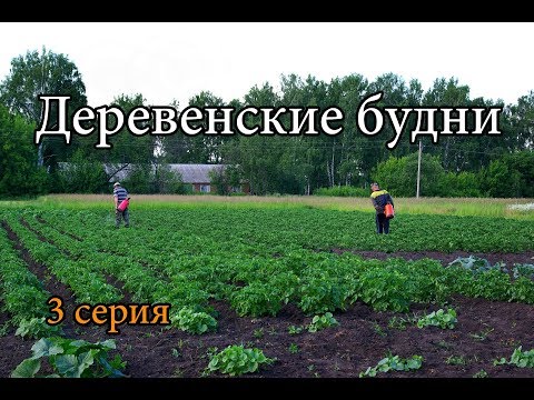 Видео: Деревенские будни #3.  Посадка бахчевых культур и многое другое