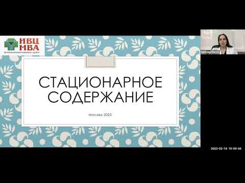 Видео: Содержание животных в стационаре  ИВЦ Пастух С С