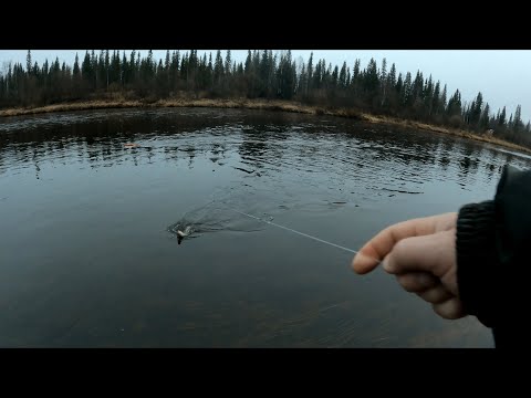 Видео: РЫБАЛКА НА КОРАБЛИК ПОЗДНЕЙ ОСЕНЬЮ. ВСЕ О МОЕМ КОРАБЛИКЕ. ХАРИУС НА КОРАБЛИК.