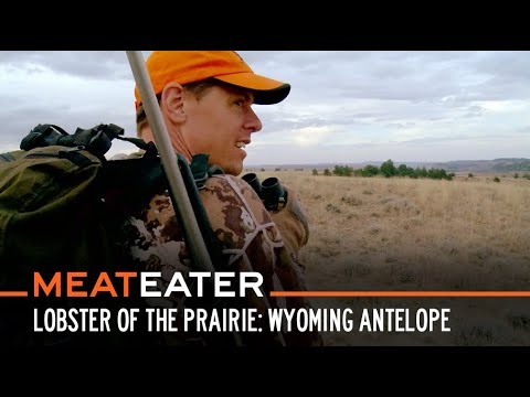 Видео: Омар прерий: Вайомингская антилопа | Сезон 6, серия 3 | MeatEater