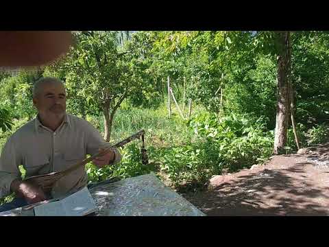 Видео: Дуней  бевафо.